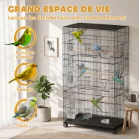 PawHut Grande Cage à Oiseaux sur Roulettes en Acier, Plateau Amovible, Portes, Perchoirs, Mangeoires, 77x46,5x141cm, Noir(m-4)