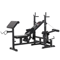 HOMCOM Weight Bench, 6 in 1 Adjustable Bench Press with Leg Extension, Barbell Rack, Preacher Curl Pad, Resistance Band, Multi-Function Home Gym Equipment for Strength Training Weightlifting(m-10)
