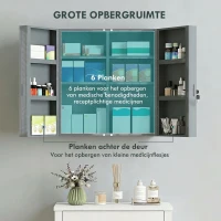 kleankin Medicijnkast, afsluitbare medicijnkast met 2 deuren en 6 planken, antracietgrijs(m-5)