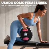 SPORTNOW Conjunto de 2 Discos de Pesas de 5 kg con Orificio de 50 mm para Entrenamiento de Fuerza  Ø24x3,5 cm Negro(m-4)