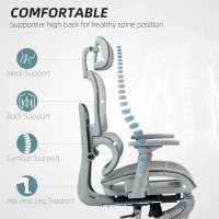 HOMCOM Ergonomic Office Chair with Footrest, High Back Mesh Desk Chair, Adjustable Lumbar Support, 3D Armrests, Grey(m-4)