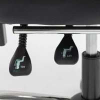 HOMCOM Silla Gaming Ergonómica con Cojín Lumbar Masajeador, Silla Gaming Reclinable en Cuero Sintético, Negro(m-8)