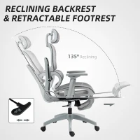 HOMCOM Ergonomic Office Chair with Footrest, High Back Mesh Desk Chair, Adjustable Lumbar Support, 3D Armrests, Grey(m-5)