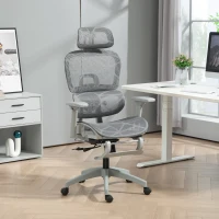 HOMCOM Ergonomic Office Chair with Footrest, High Back Mesh Desk Chair, Adjustable Lumbar Support, 3D Armrests, Grey(m-10)
