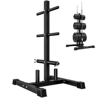 SPORTNOW Suporte para Anilhas Carga 300 kg para Discos de 25 e 50 mm com 2 Suportes para Barra para Ginásio em Casa Preto(m-16)