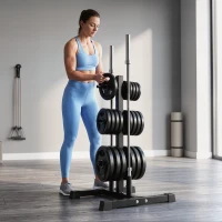 SPORTNOW Soporte para Discos de Pesas Carga 300 kg para Discos de 25 mm y 50 mm con 2 Estantes de Barra para Gimnasio Casa Negro(m-10)