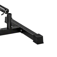SPORTNOW Suporte para Anilhas Carga 300 kg para Discos de 25 e 50 mm com 2 Suportes para Barra para Ginásio em Casa Preto(m-12)