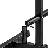SPORTNOW Suporte para Anilhas Carga 300 kg para Discos de 25 e 50 mm com 2 Suportes para Barra para Ginásio em Casa Preto(m-13)