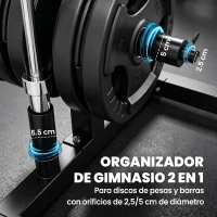 SPORTNOW Soporte para Discos de Pesas Carga 300 kg para Discos de 25 mm y 50 mm con 2 Estantes de Barra para Gimnasio Casa Negro(m-4)