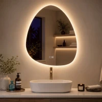 HOMCOM Espelho de Casa de Banho Bluetooth com Iluminação LED 60x80cm, Forma de Seixo, Dimerizável 3 Cores, Anti-Embaçamento, Memória, Prateado(m-5)