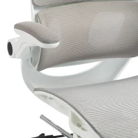HOMCOM Cadeira de Escritório Ergonômica Reclinável em Malha, Suporte Lombar, Encosto de Cabeça, Apoios de Braço Eleváveis, 62x66x126cm, Cinza(m-8)
