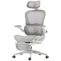 HOMCOM Scaun de birou ergonomic rabatabil din plasă, suport lombar, tetieră, cotiere rabatabile, 62x66x126cm, Gri(m-9)