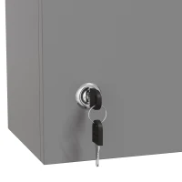 kleankin Armario de farmacia mural con cerradura, 5 estantes y baldas regulables, madera y vidrio, gris, 30x20x70cm(m-6)