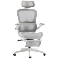 HOMCOM Scaun de birou ergonomic rabatabil din plasă, suport lombar, tetieră, cotiere rabatabile, 62x66x126cm, Gri(m-1)