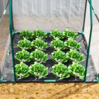 Outsunny Serre de jardin 90x90x105 cm avec porte enroulable, base étanche, structure en acier, Transparent(m-4)