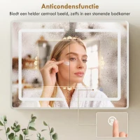 HOMCOM Spiegelkast voor de badkamer met LED-verlichting, 60 x 80 cm badkamerkast met anti-condens, 3-voudig dimbaar(m-6)