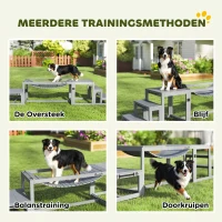 PawHut Agility-set honden 3-delig agility-uitrusting met brug, trap, platform, vurenhout, 117 x 50 x 56 cm, Grijs(m-5)