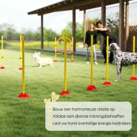 PawHut 4-Delige Agility-Set voor Honden met Vulbare Basis voor Training(m-7)