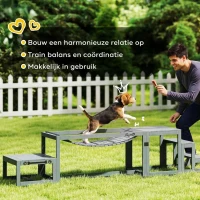 PawHut Agility-set honden 3-delig agility-uitrusting met brug, trap, platform, vurenhout, 117 x 50 x 56 cm, Grijs(m-6)