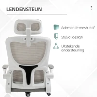 Vinsetto Bureaustoel, in hoogte verstelbaar, kantelbare rugleuning, verstelbare hoofdsteun, tot 120 kg, 60x59x114-122 cm, Grijs(m-6)