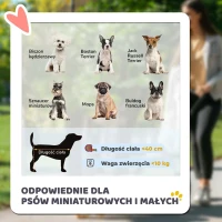 PawHut 2 in 1 Hundebuggy Haustierwagen Hundetrolley z wyjmowanym koszem, 2 szelki bezpieczeństwa Składany wózek dla kota dla małych i miniaturkowych psów, Materiał oxford, Szary(m-4)