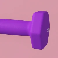 SPORTNOW Set 2 Manubri 2x2 kg Esagonali e Antiscivolo per Casa e Palestra, in Metallo e Plastica, 16x7.5x7.5 cm, Viola(m-9)