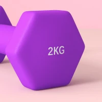SPORTNOW Set 2 Manubri 2x2 kg Esagonali e Antiscivolo per Casa e Palestra, in Metallo e Plastica, 16x7.5x7.5 cm, Viola(m-8)