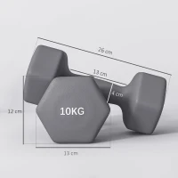 SPORTNOW Set 2 Manubri Esagonali da 2x10 kg in Metallo e Plastica con Impugnatura Antiscivolo, 26x12x12 cm, Grigio(m-3)