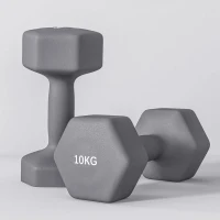 SPORTNOW Set 2 Manubri Esagonali da 2x10 kg in Metallo e Plastica con Impugnatura Antiscivolo, 26x12x12 cm, Grigio(m-8)