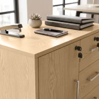 HOMCOM Schedario per Ufficio con 3 Cassetti e Armadietto con 3 Ripiani Regolabili, in Legno, 60x40x56 cm, Marrone Chiaro(m-12)