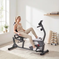 Rower treningowy trenażer rowerowy z regulacją oporu magnetycznego kolor szary + srebrny(m-2)