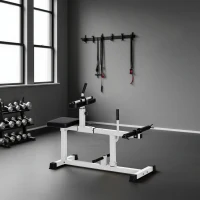 SPORTNOW Macchina per Polpacci Seduti, Macchina per Polpacci Regolabile, per Allenamento Gambe Polpacci, Bianco(m-10)