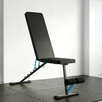 SPORTNOW Panca Palestra Pieghevole, Panca Addominali Multifunzione Inclinabile con Schienale Regolabile a 7 Livelli(m-13)