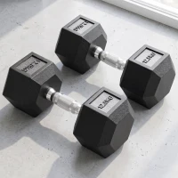 HOMCOM Set di Manubri Palestra da 2x12.5 kg Esagonale, Pesi per Palestra con Impugnatura Zigrinata Antiscivolo, Nero(m-10)