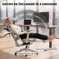 HOMCOM Scaun de birou ergonomic cu suport pentru picioare și plasă respirabilă, gri(m-5)