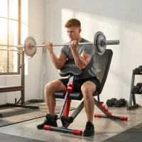 SPORTNOW Panca Pesi Regolabile per Home Gym, Pieghevole 300 kg, Inclinata/Declinata/Piana, 6 Posizioni Schienale(m-10)