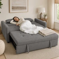 HOMCOM Divano Letto 2 Posti 3 in 1 in Lino con 2 Cuscini, Estraibile Clic Clac Reclinabile, Seduta Imbottita, Grigio(m-10)