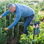 Outsunny kniebank tuinkruk 2-in-1 knielhulp inklapbaar gereedschapstas van EVA-schuimrubber