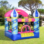 Opblaasbaar springkasteel met glijbaan voor 2 kinderen springkasteel speelkasteel met blazer