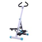 HOMCOM Magnetic Exercise Training Bike w/ Flywheel & Digital Monitor for Home Office(c-6)