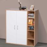 HOMCOM® SZAFKA NA BUTY 2 PÓŁKI 10–12 PAR BUTÓW PŁYTA MDF biała 60 x 24 x 80 cm(c-3)