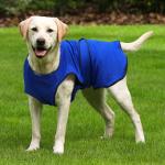 PawHut Dog Cooling Coat, Adjustable Size, Back Length 40 cm, Polyester-Blue(c-4)