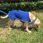 PawHut Dog Cooling Coat, Adjustable Size, Back Length 40 cm, Polyester-Blue(c-2)