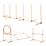 PawHut Set antrenament pentru caini, Nivel Incepatori, ABS/PE/PVC, Portocaliu