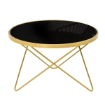 HOMCOM Glass Coffee Table, Accent End Side Table with Tempered Glass Top and Golden Metal Legs for Living Room, Bedroom, 65cmx65cmx40cm