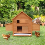 PawHut Pollaio da Giardino Gabbia per Galline in Abete, Legno e Verde, 160x98.5x107cm