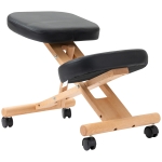 Vinsetto Scaun pentru casa si birou cu roti, inaltime reglabila, design ergonomic si captuseala din spuma, 43x67x64-70cm, negru