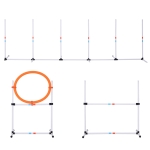 3-cz. zestaw do treningu agility dla psów Zestaw treningowy dla zwierząt domowych Zestaw do treningu psów z torbą