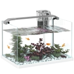 PawHut Acvariu pentru Pești Roșii din Sticlă cu Lumini LED cu Filtru și Pompă de Apă, 38x26x27 cm, Alb