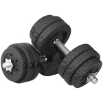 HOMCOM Set de Pesas Manubrios de 30 kg (8x2.5 kg, 4x1.5 kg) con 12 Discos y 2 Manubrios de 2 kg, 43x18x7.5 cm, Negro